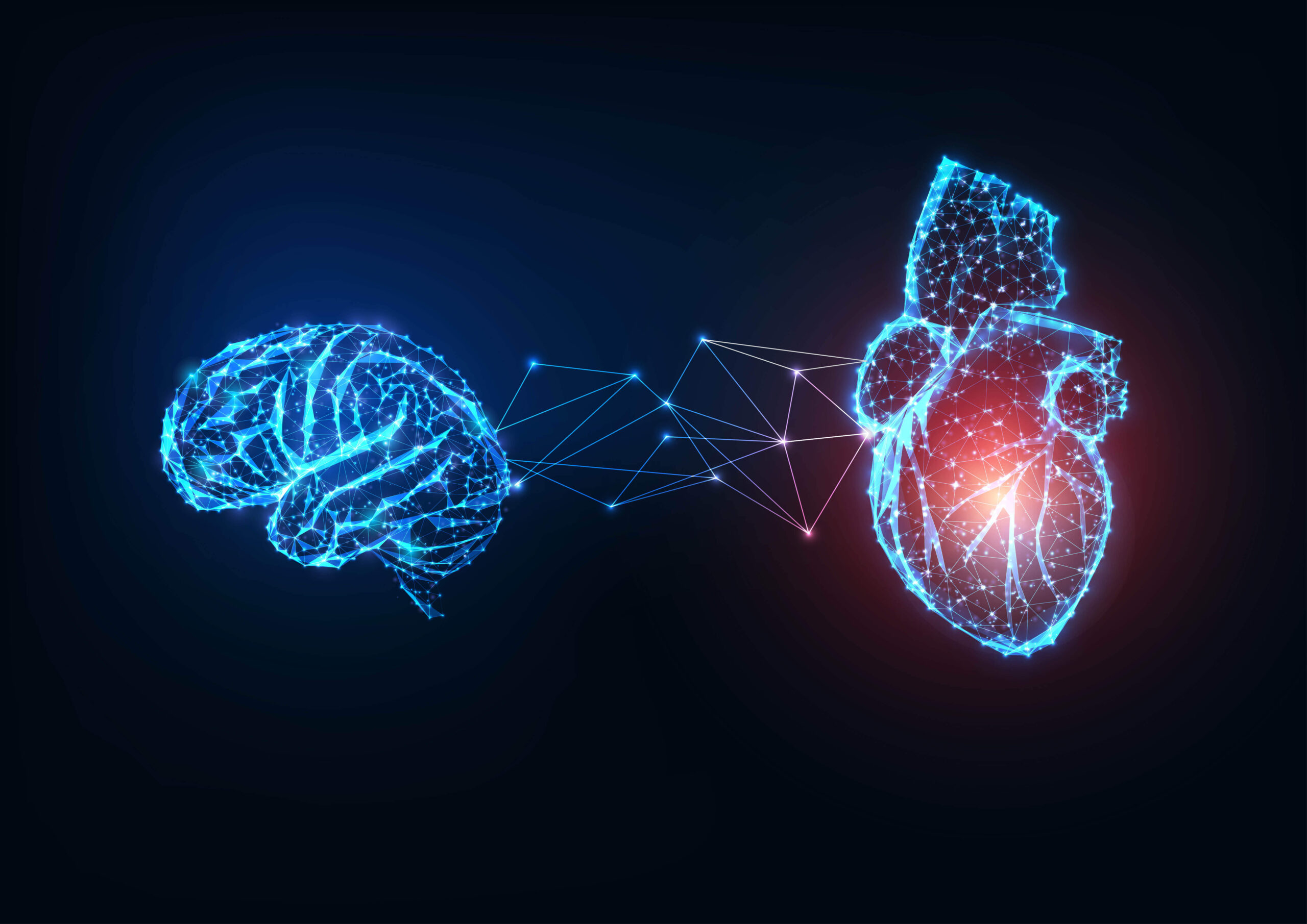 cervello e cuore che comunicano nel campo per armonizzarsi