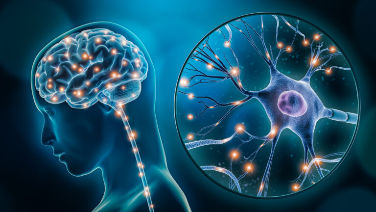 Cervello e neuroni illuminati: cambiare pensieri ci dona benessere psicofisico