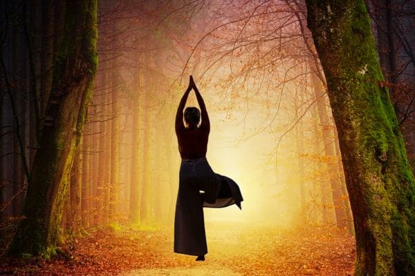 Posizione albero yoga in un bosco: crea il tuo equilibrio mentale
