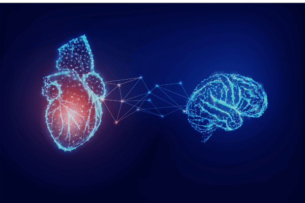 Cuore e cervello uniti da onde elettromagnetiche: quando comunicano in modo coerente sono il migliore strumento per combattere l'ansia