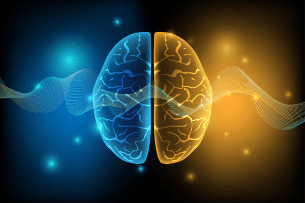 Emisferi del cervello colorati a simboleggiare la loro sincronizzazione nel liberare la mente dal suo chiacchiericcio